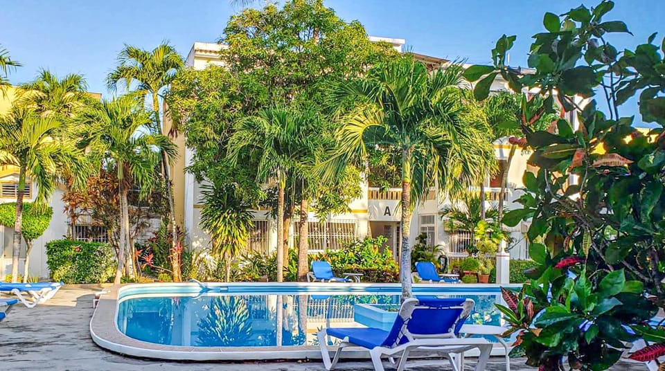Day, Garden, Pool view, Swimming pool, sunbed