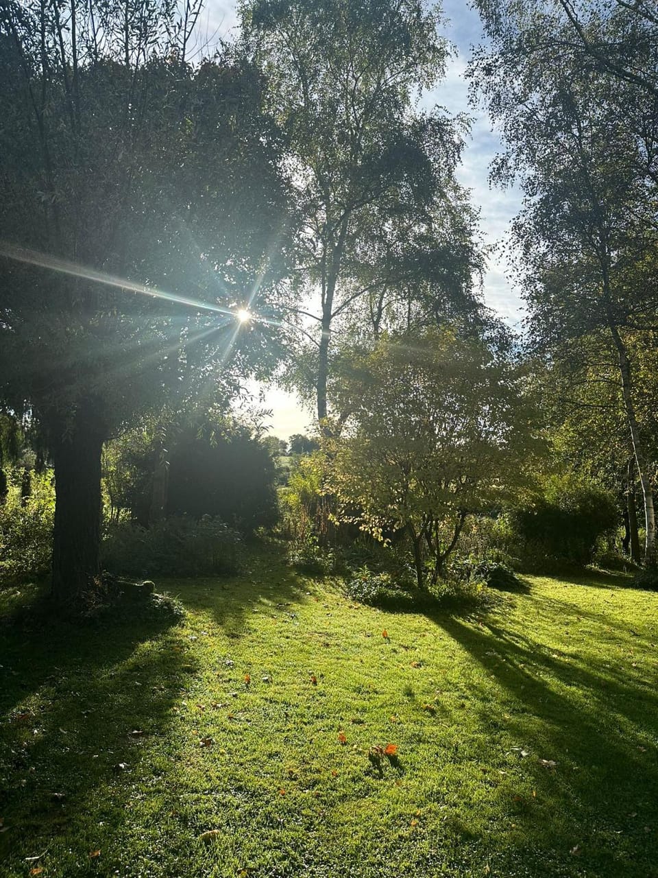 Garden, Garden