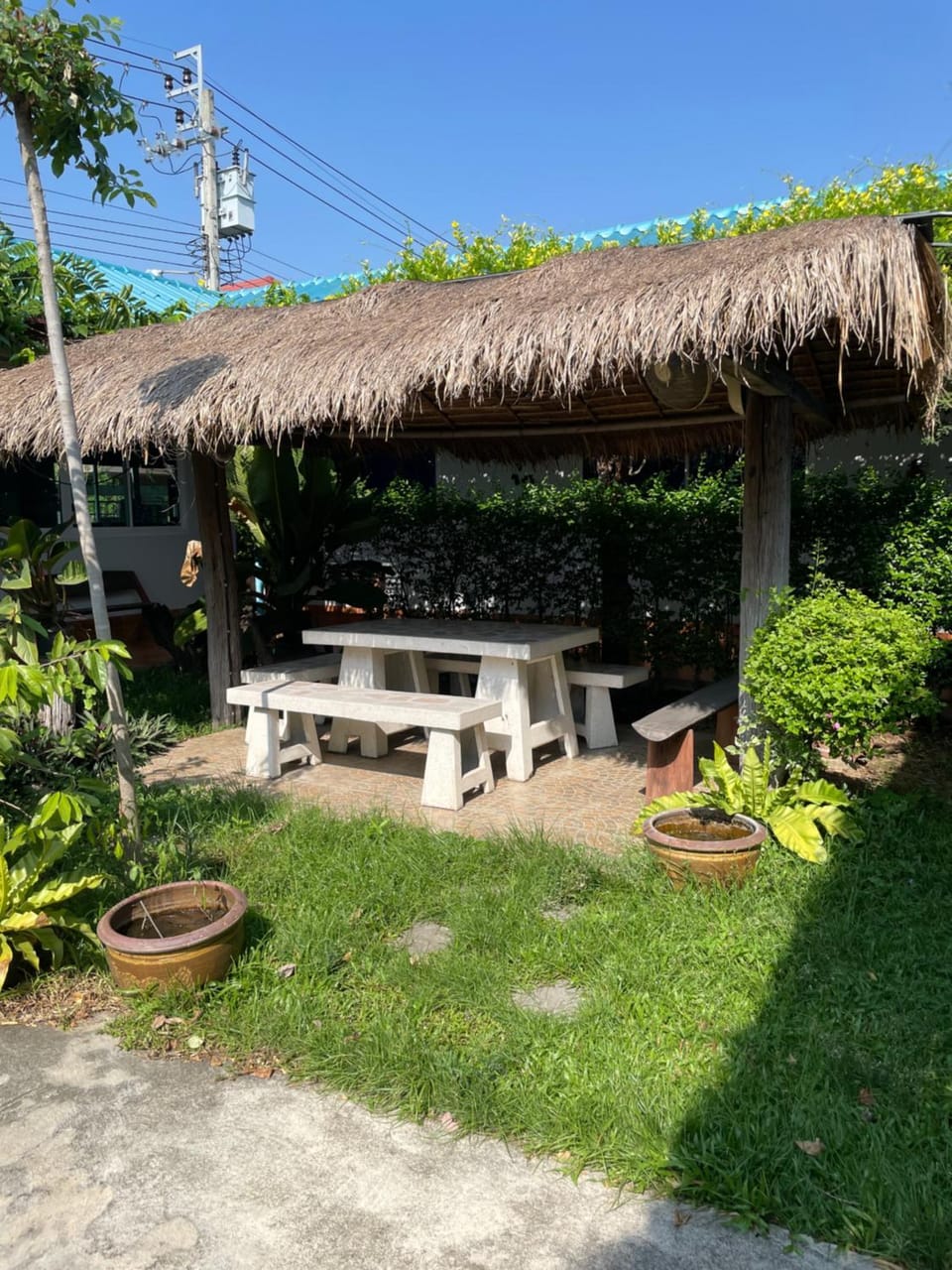 Garden view
