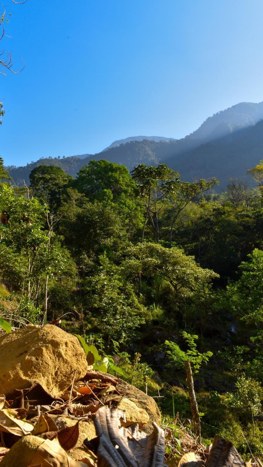Cabaña el Chapuzón montaña y rio, lugar fresco Campground/ 
RV Resort in San José Province