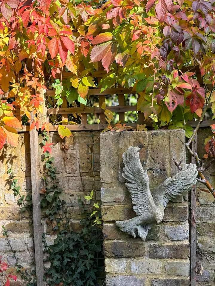 Garden, Garden, Autumn