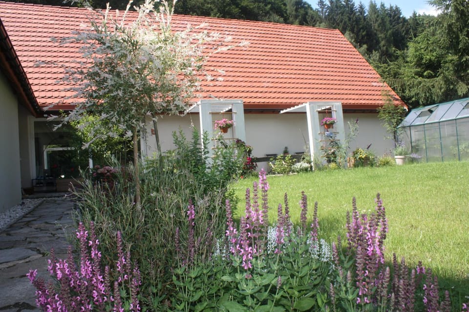 Property building, Garden, Garden view