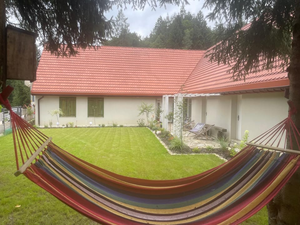 Property building, Natural landscape, Garden, Garden view, sunbed