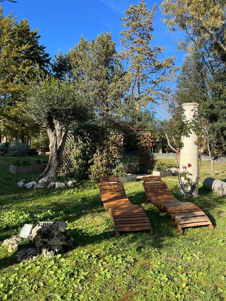 Garden view