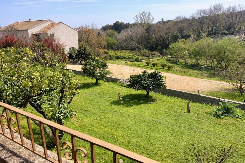 Garden view