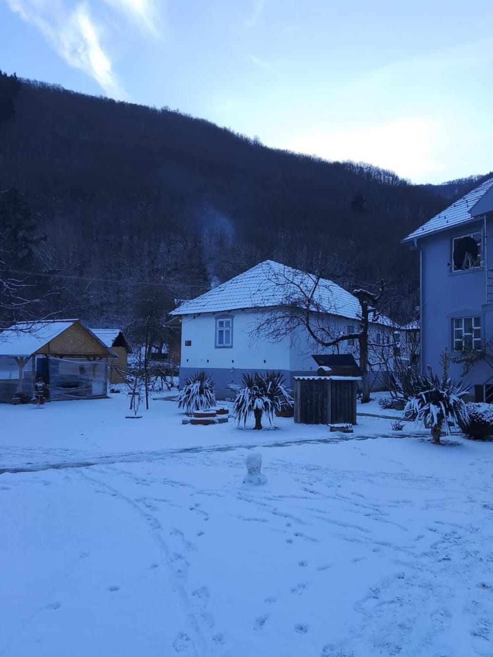 Winter