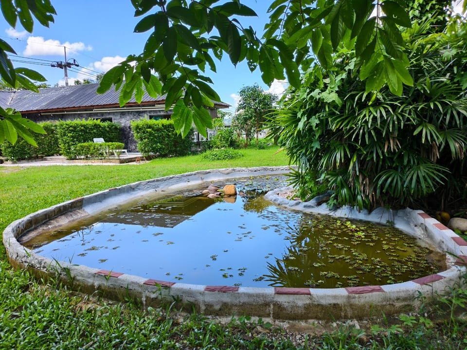Tarzan Bamboo hut Farm Stay in Khlong Sok