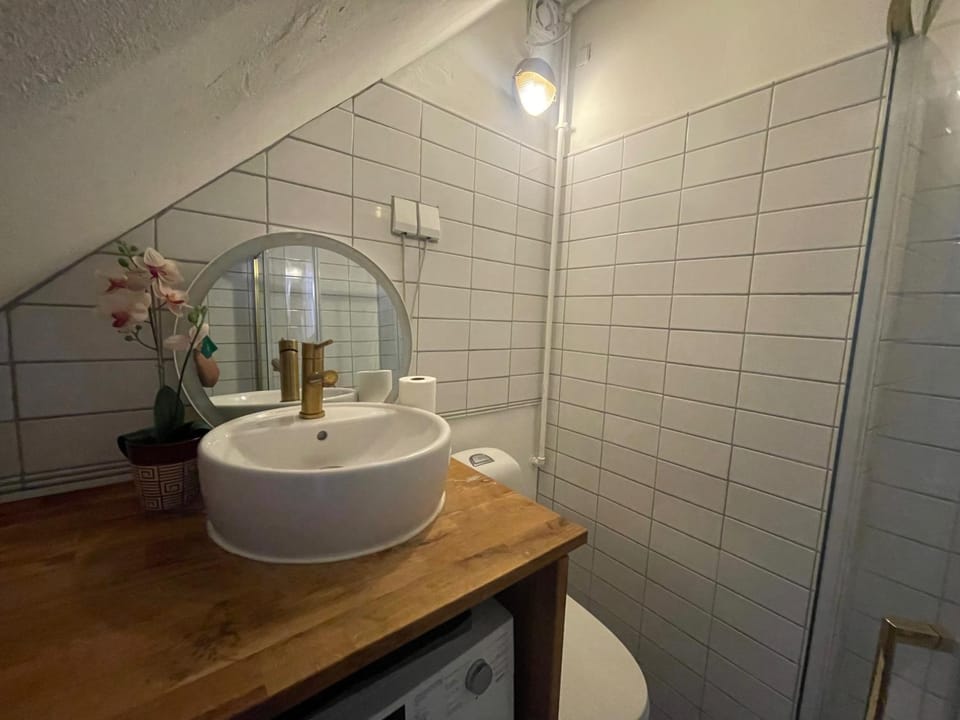 Cozy Copenhagen Chambers with Sunny Garden Apartment in Copenhagen