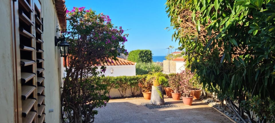 Garden, Garden view