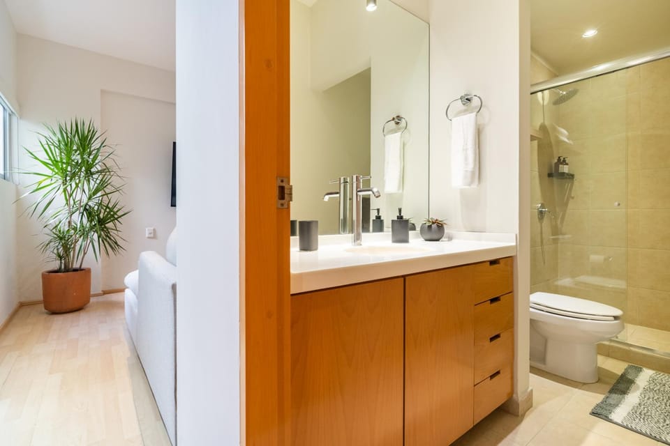 M102 - 2BR - 2BTh Apartment in Mexico City