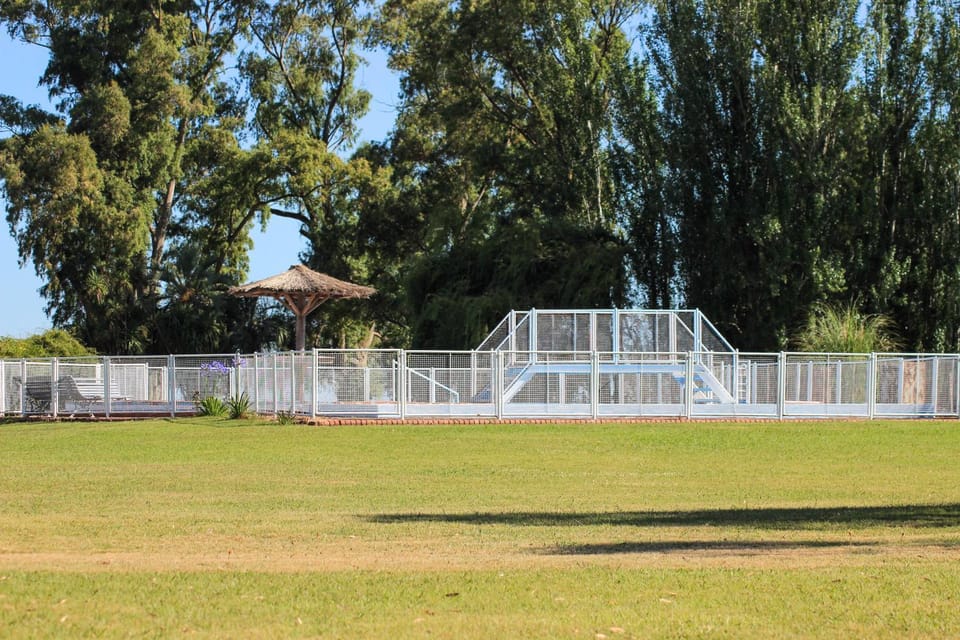 Natural landscape, Garden