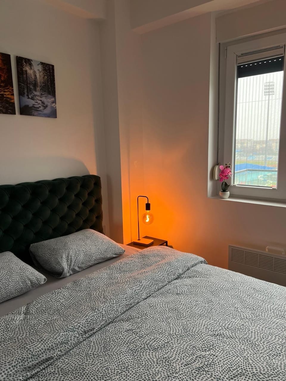 Apartman Vića Apartment in Serbia