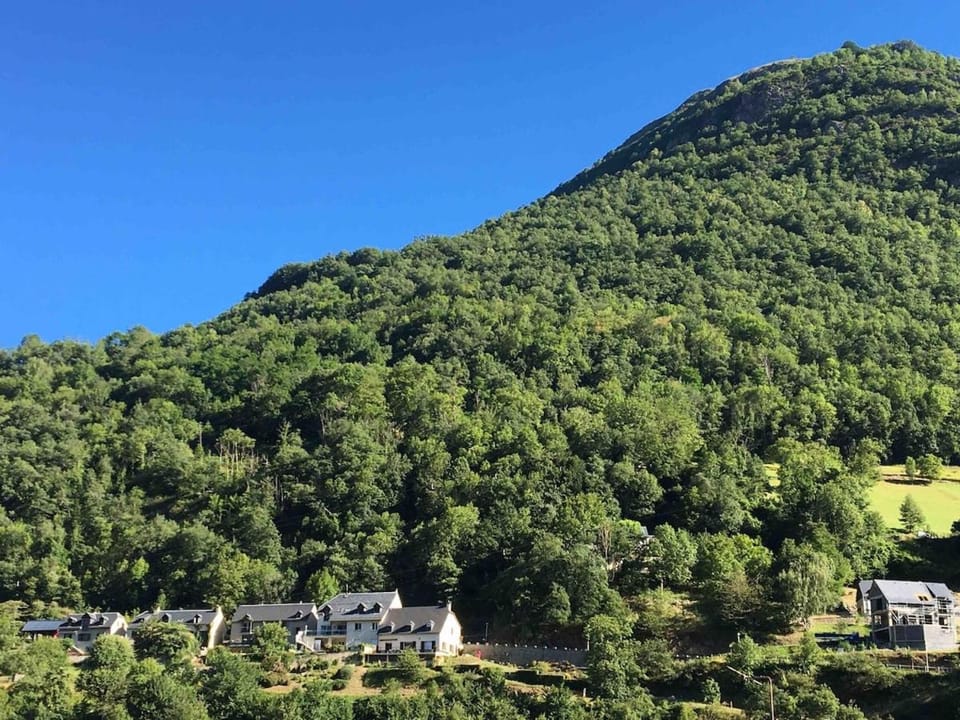 Apartement montagne dans maison de caractères Apartment in Luz-Saint-Sauveur