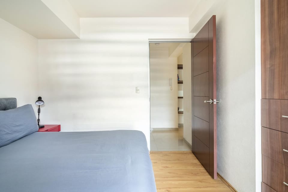 A102 - 1 BR - 1 BTh Apartment in Mexico City