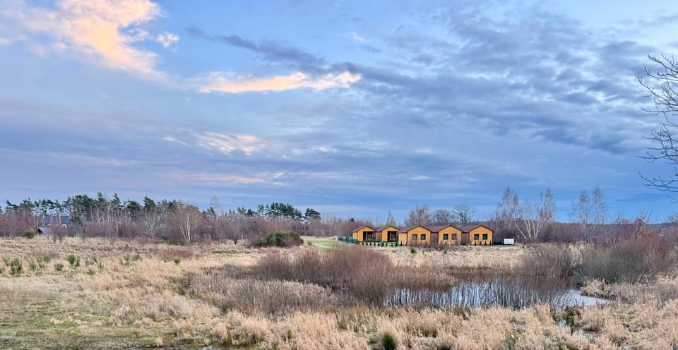 Natural landscape, Beach, Pets, Pets, Lake view, pet friendly, pet friendly