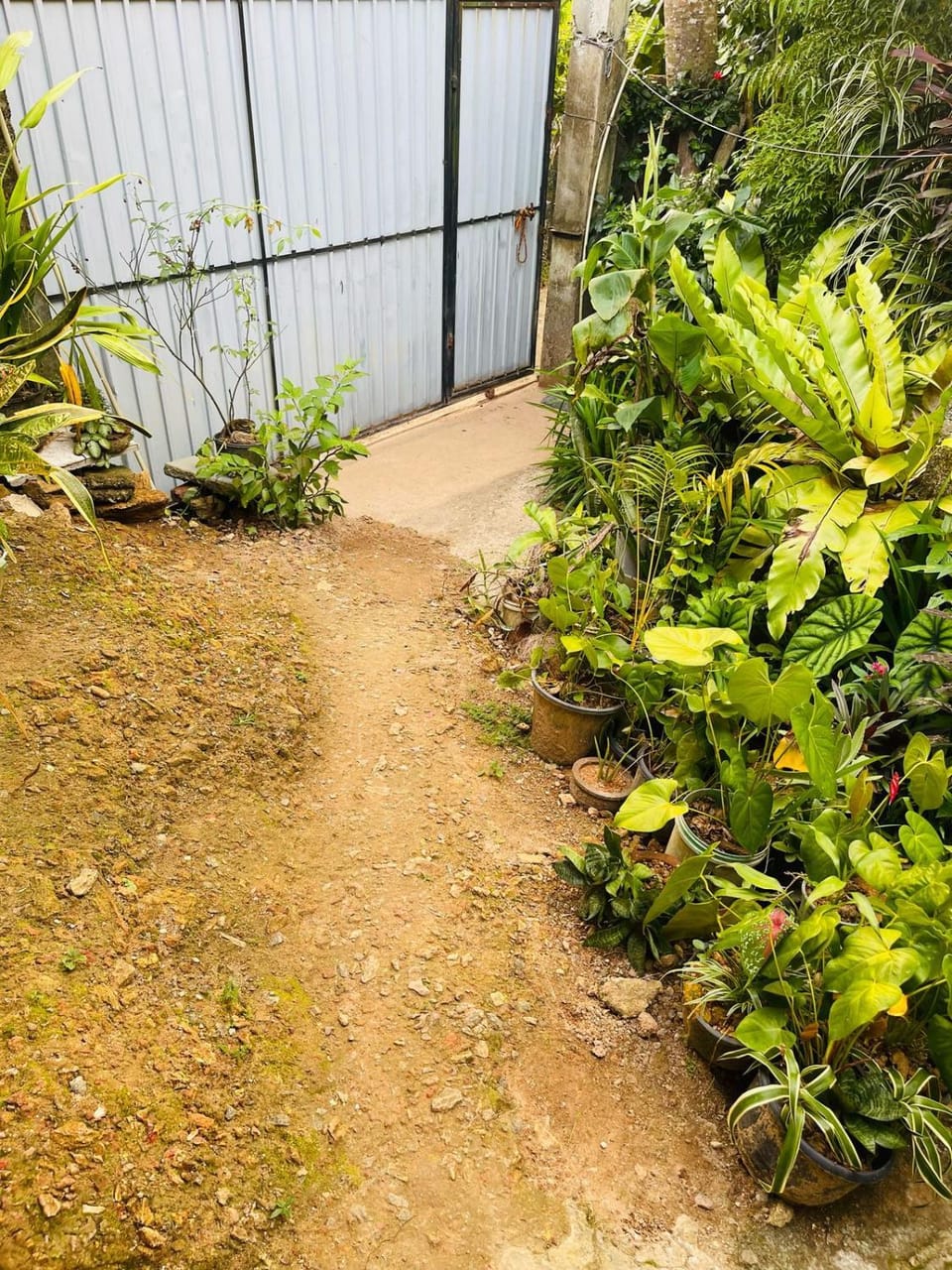 House Deli Tree hostel & homestay Vacation rental in Southern Province