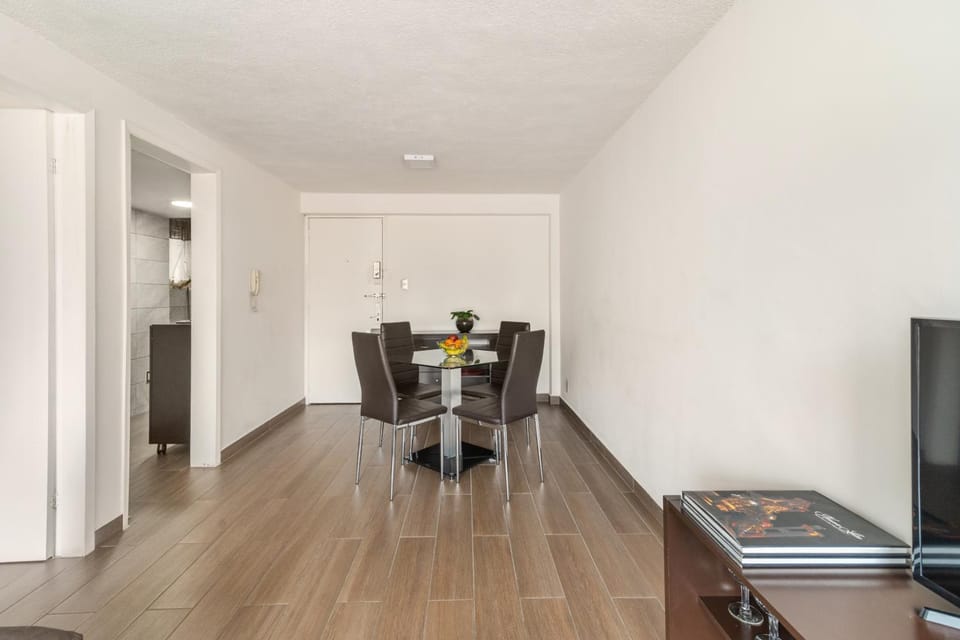 T301 - 1 BR - 1 BTh Apartment in Mexico City