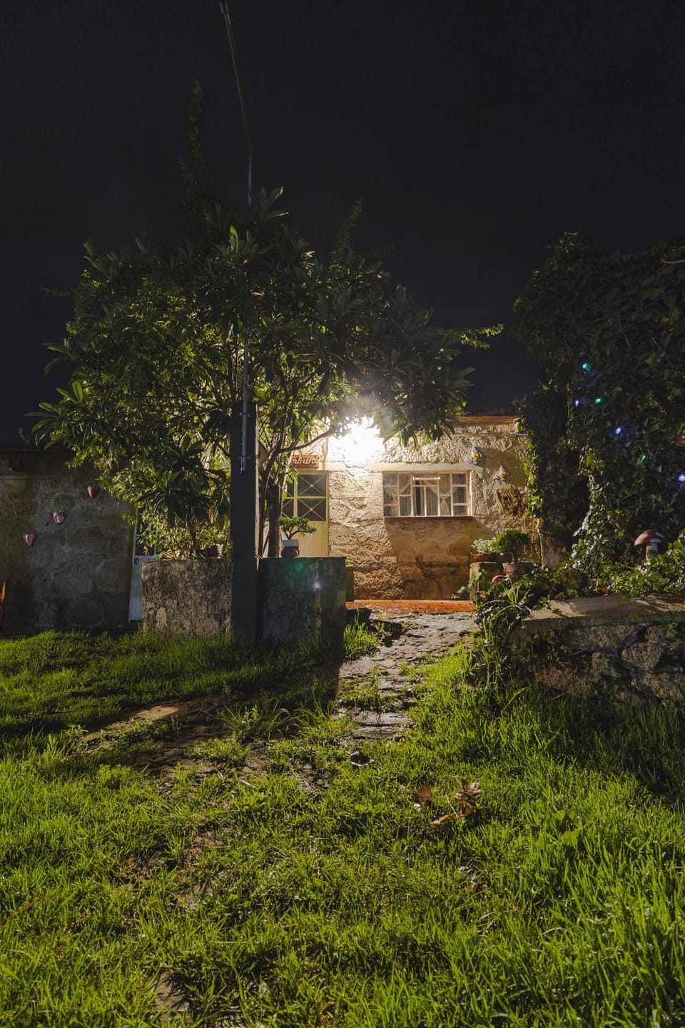Property building, Spring, Night, Natural landscape, Garden, Garden view