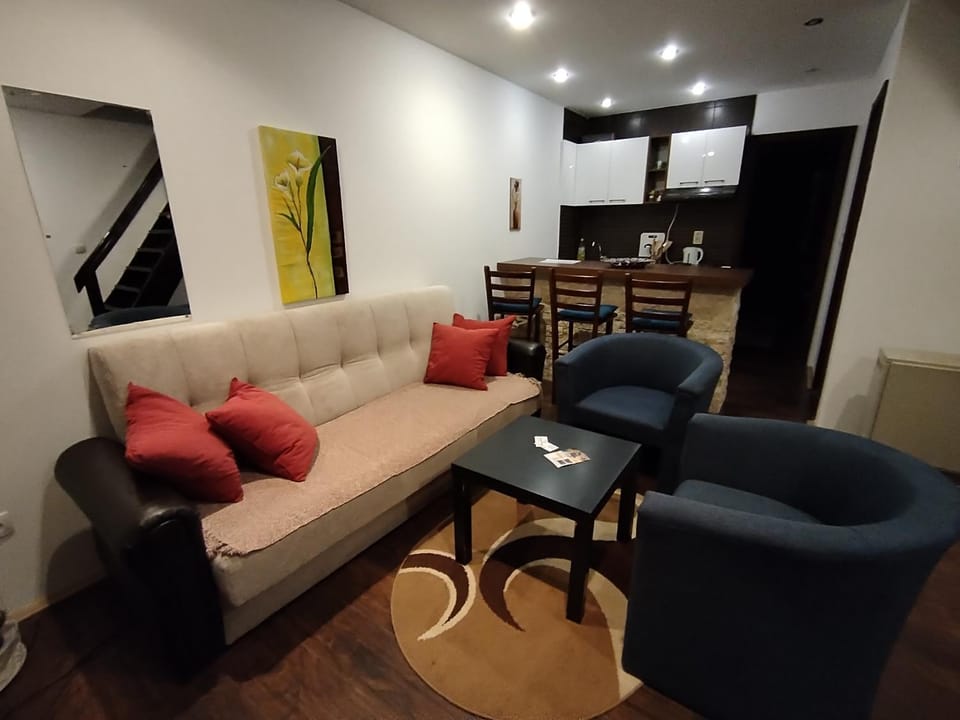 Drašković lux Goč Apartment in Serbia