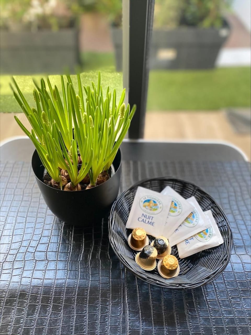 Le Palmier Studio - Private Studio House in Créteil