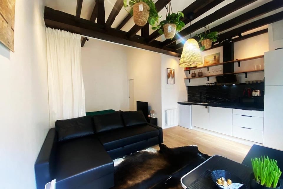 Le Palmier Studio - Private Studio House in Créteil