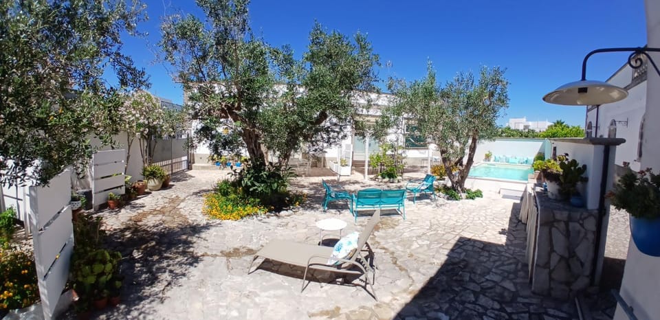 Garden, Garden view, sunbed