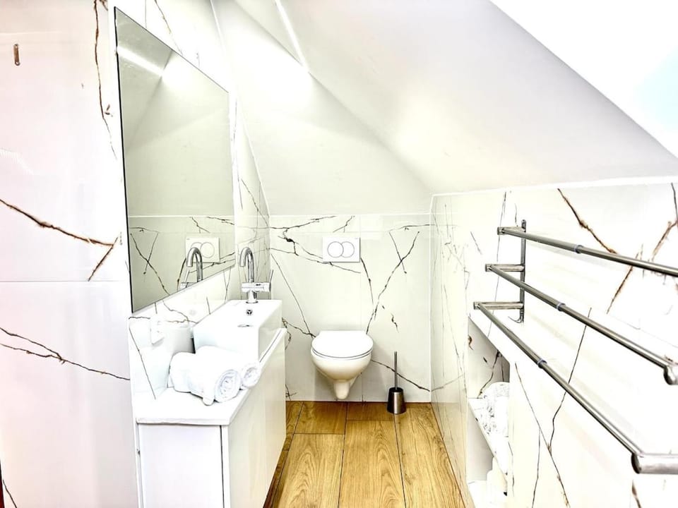City Central Loft with Parking Apartment in Slovenia