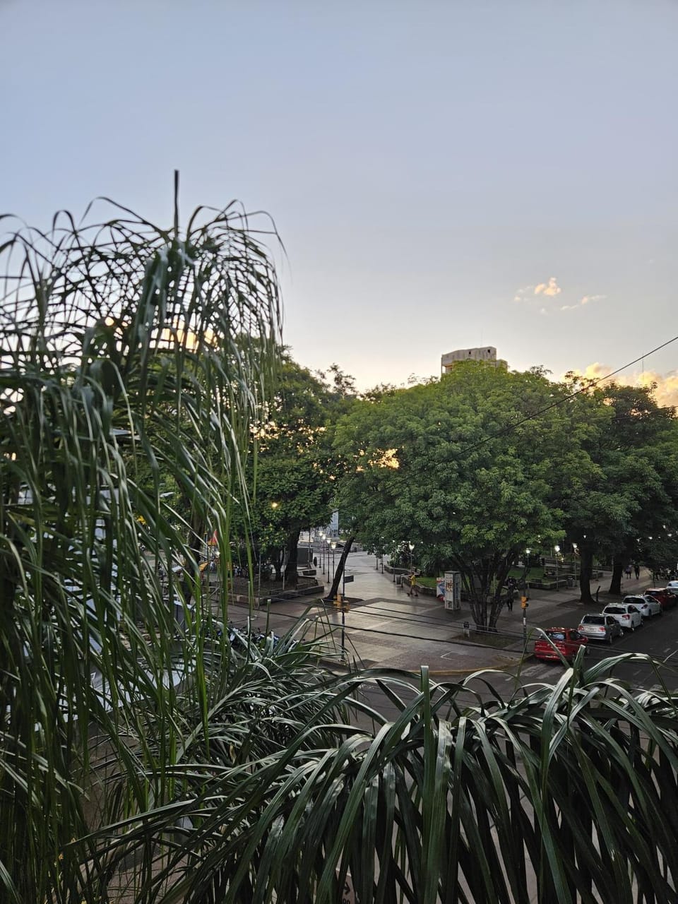 Natural landscape, Garden view, Landmark view