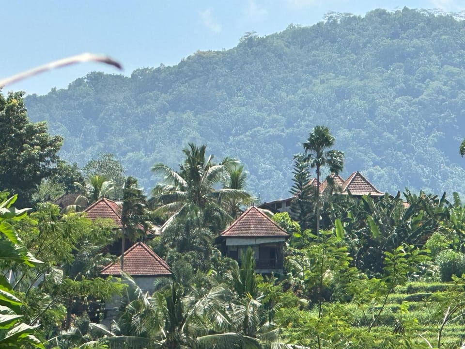Spring, Day, Natural landscape, Garden, Garden view, Mountain view