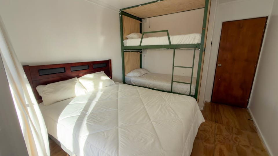 Bed, Photo of the whole room, Bedroom, bunk bed