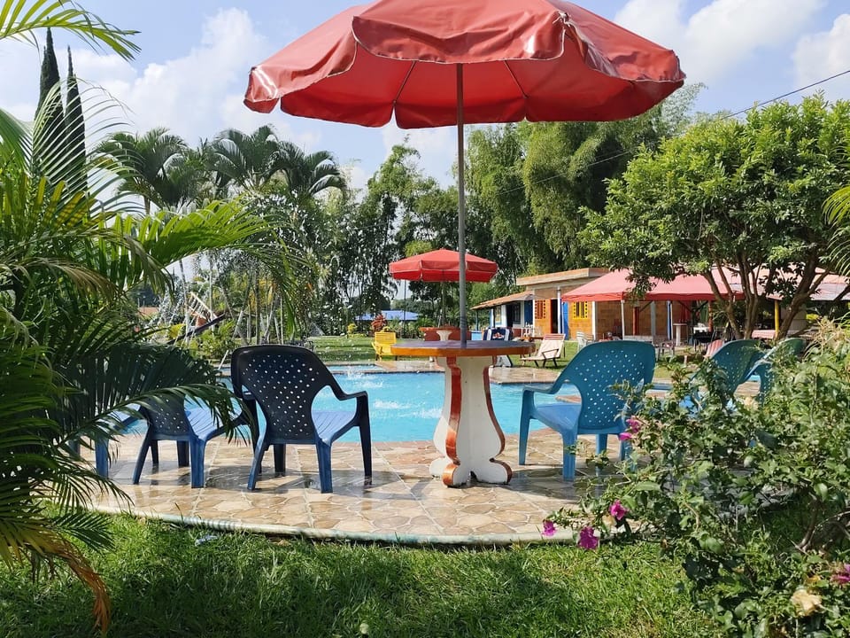 Natural landscape, Garden, Garden view, Pool view, Swimming pool, sunbed