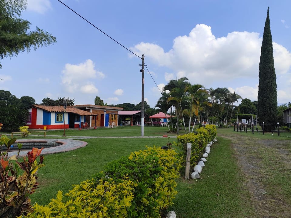 Natural landscape, Garden view