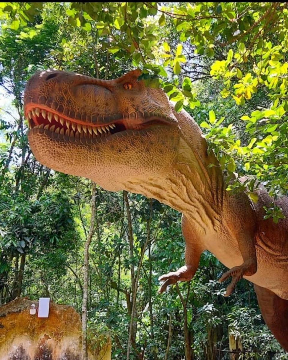 Apartamento Aconchegante Apartment in Miguel Pereira