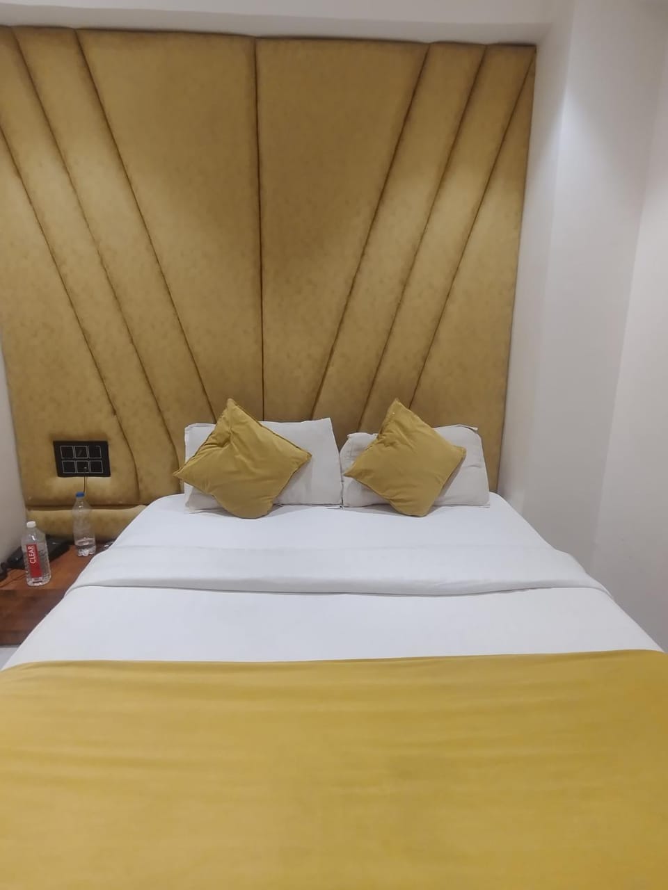 Hotel Pelican Hotel in Ahmedabad
