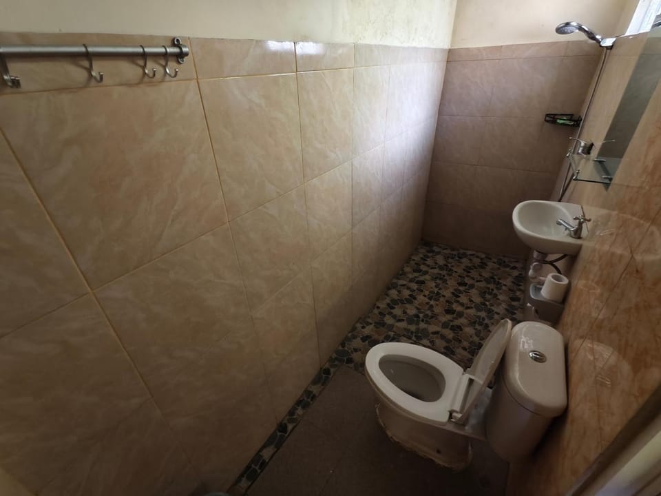 Shower, Toilet, Bathroom, bidet