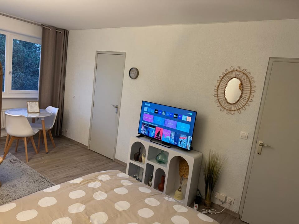 Studio Voltaire avec parking commun gratuit dans la copropriété Apartment in Haute-Savoie