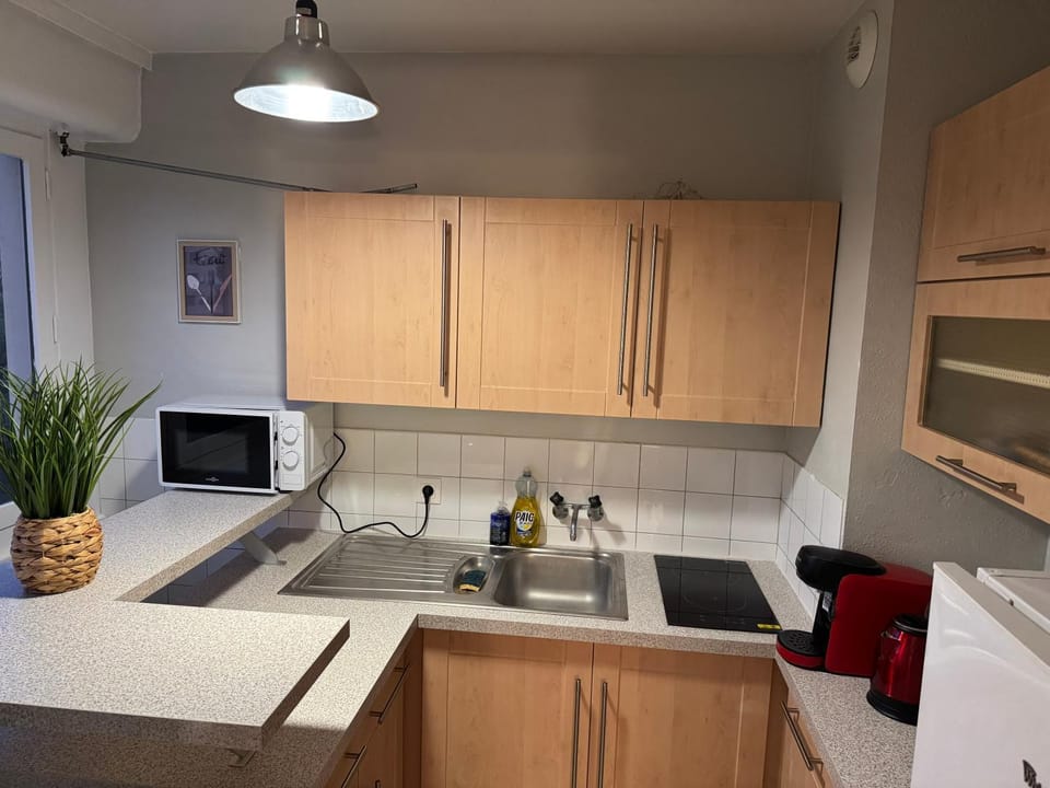 Studio Voltaire avec parking commun gratuit dans la copropriété Apartment in Haute-Savoie