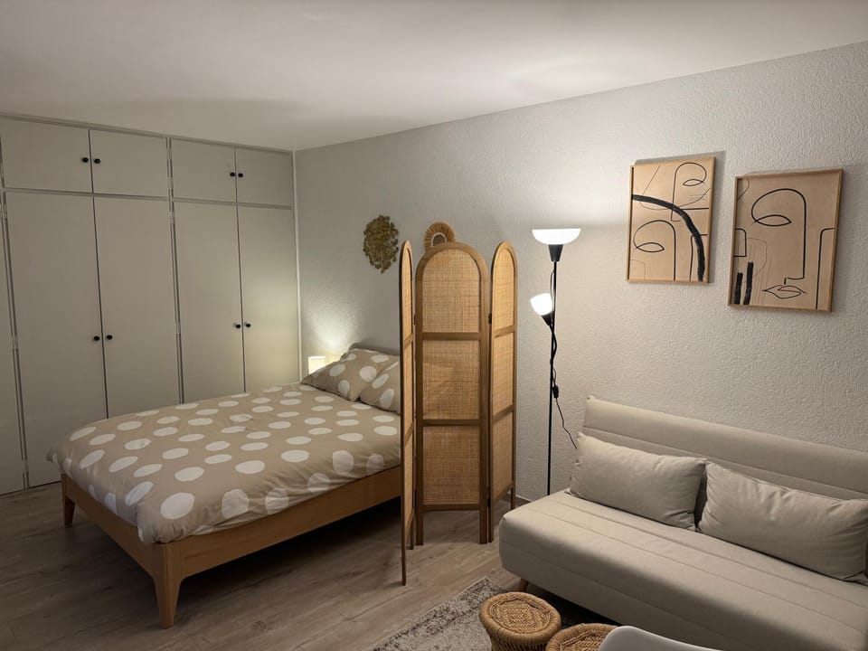 Studio Voltaire avec parking commun gratuit dans la copropriété Apartment in Haute-Savoie
