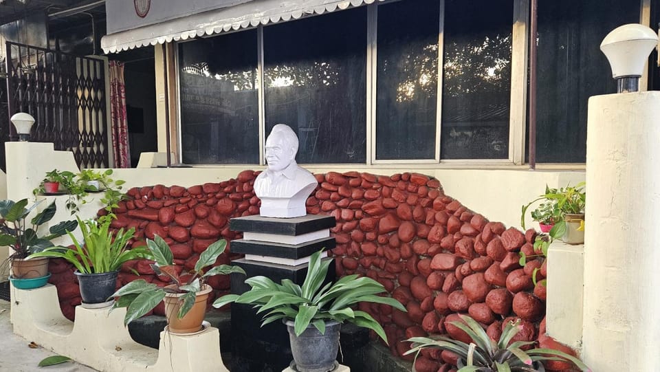 Garden view