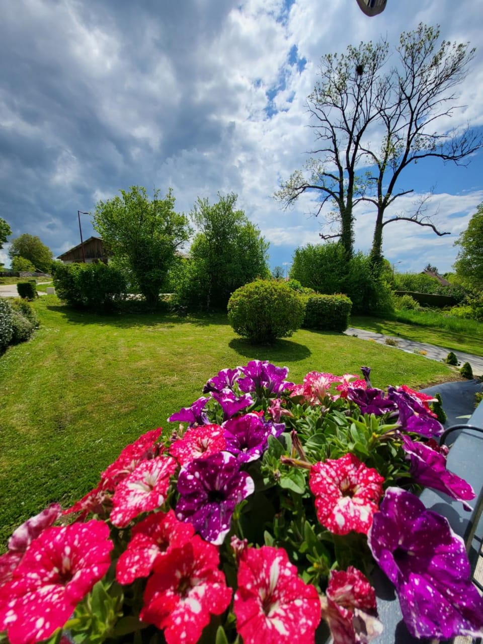 Spring, Garden