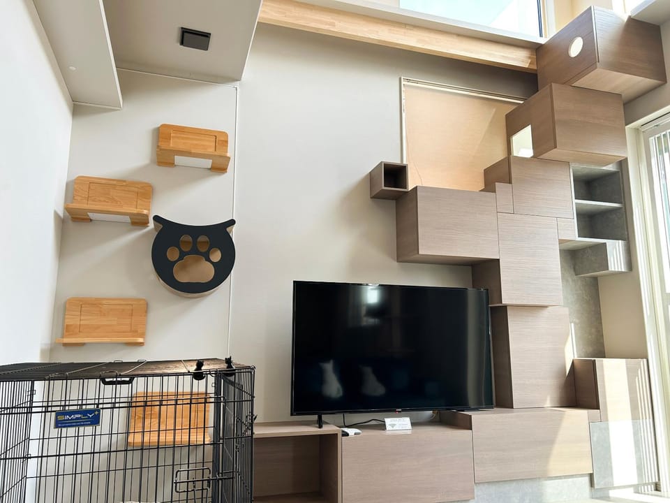 Living room, Photo of the whole room