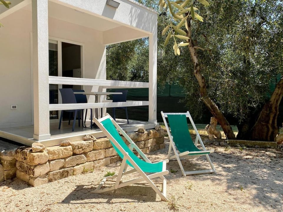 Patio, Garden, Garden view, sunbed