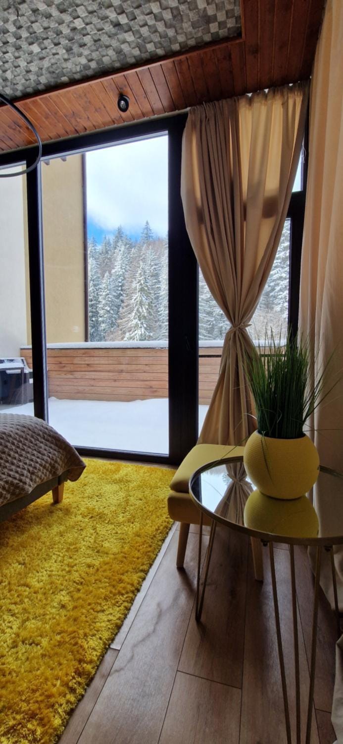 EVVA Apartment Mountain Retreat Apartment in Brasov