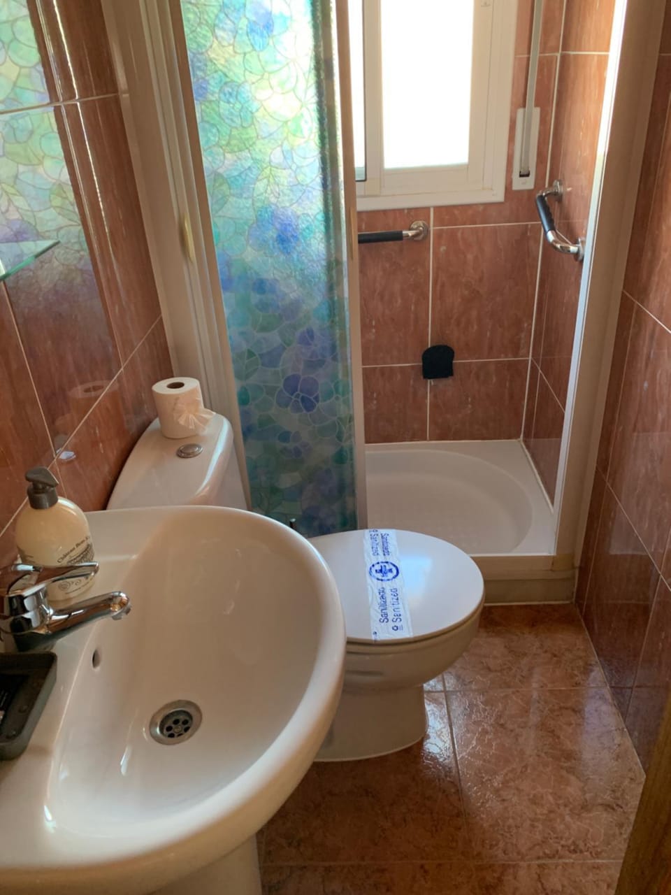 Shower, Toilet