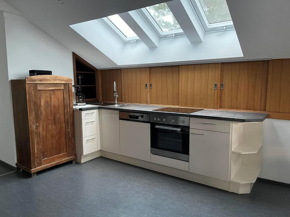 Kitchen or kitchenette, oven, stove