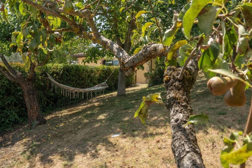La Piccola Oasi by Great Stays Villa in Umbria