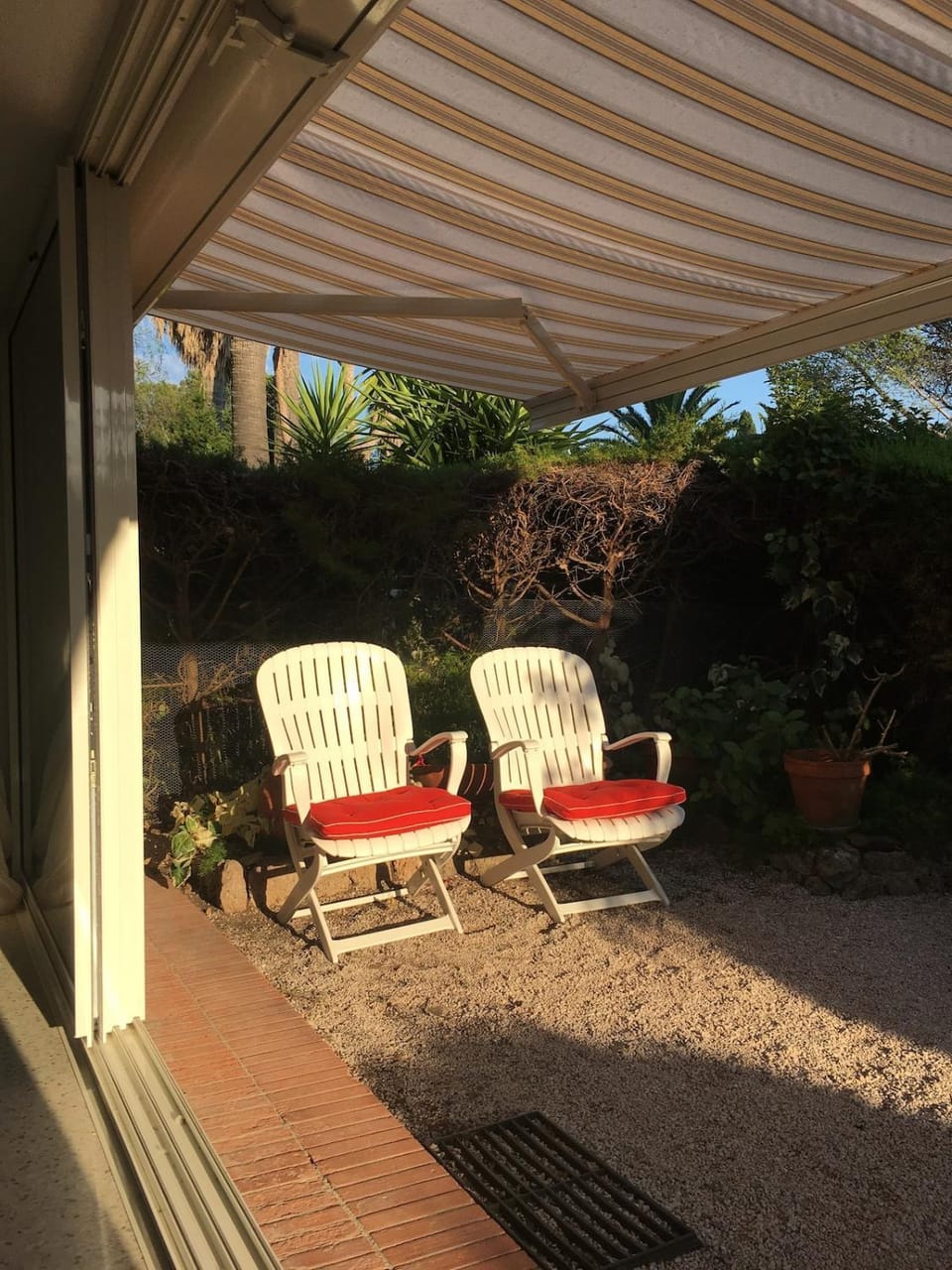 Patio, Garden, sunbed