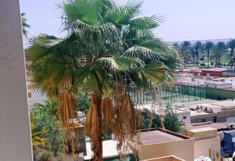 Estrella de Mar Apartment in Fuerteventura