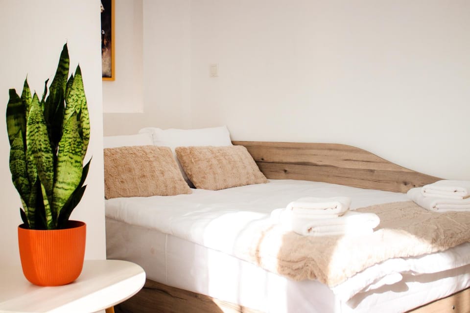 Bed, Living room, Photo of the whole room, towels