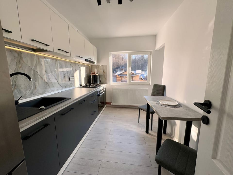 Kitchen or kitchenette, Dining area, stove